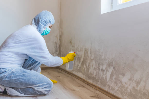 Mold inspector in Fountain Hills performing thermal imaging